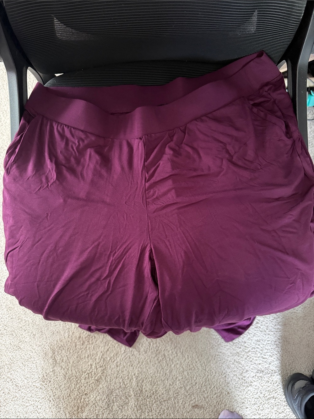New Torrid Winter Bloom Soft Pants 22-24